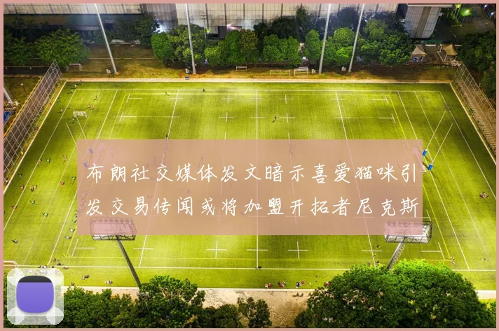 布朗社交媒体发文暗示喜爱猫咪引发交易传闻或将加盟开拓者尼克斯雷霆湖人